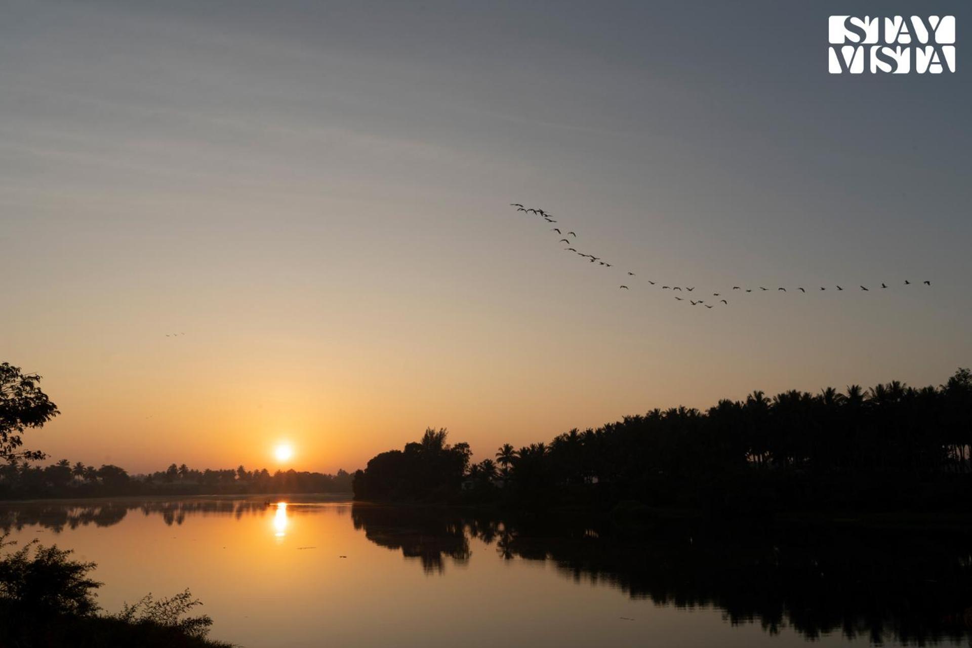 Stayvista At Golden Triangle Kabini With Bonfire, River View & Comp Beakfast Hampāpura Zewnętrze zdjęcie